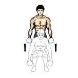dumb bell deadlift