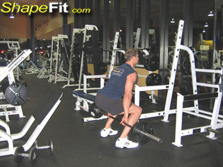 hack squats