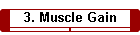 3. Muscle Gain